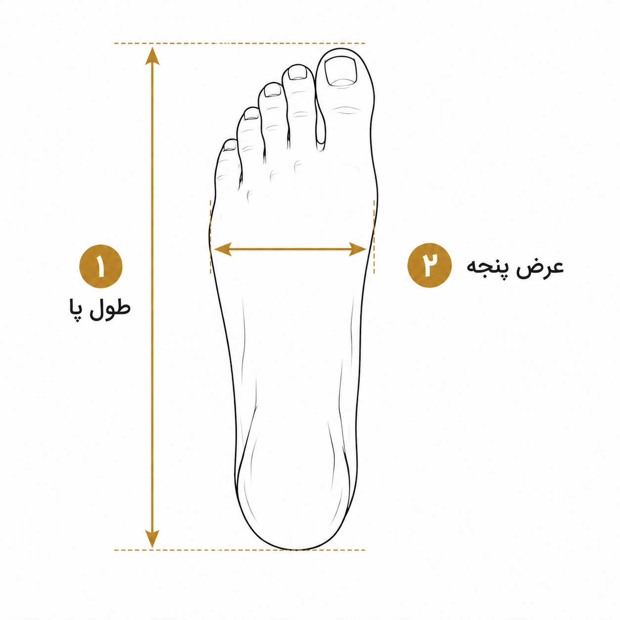 روش اندازه‌گیری